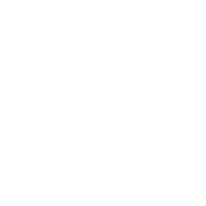 Mead & Hunt